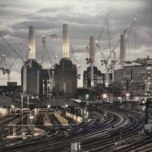 Animals (2018 Remix) cover