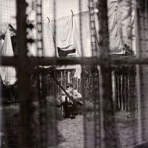 Chaos And Creation In The Backyard cover