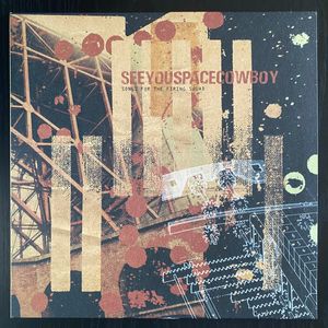 Songs For The Firing Squad  cover