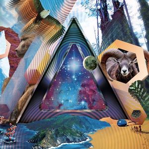 Universal Pulse cover