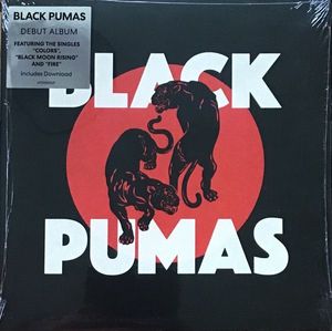 Black Pumas cover