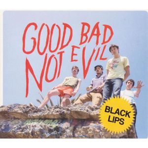 Good Bad Not Evil cover