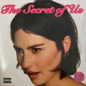 The Secret Of Us cover