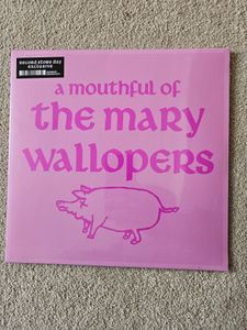 A Mouthful Of The Mary wallopers (RSD 2026) cover