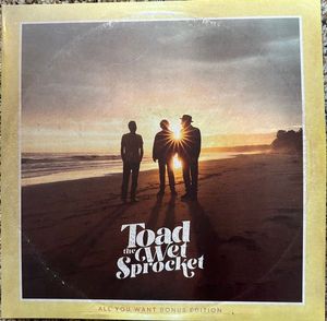 All You Want (Bonus Edition) cover