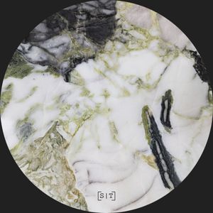 Forest Depth cover