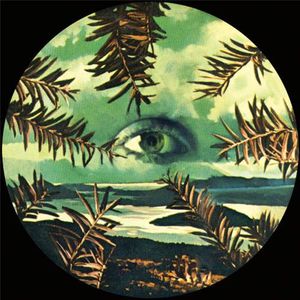 Lilacs & Champagne cover