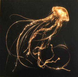 Back To The Water Below cover