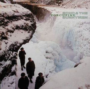 Porcupine cover