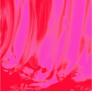 Ty Segall – Love Fuzz