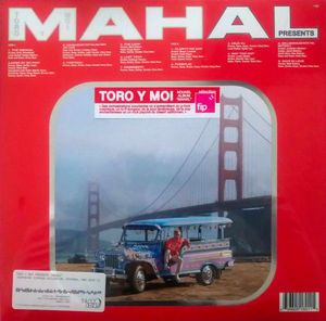 Mahal cover