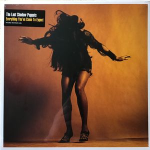 Everything You've Come To Expect cover