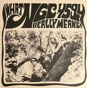 What NGC-4594 Really Means! cover