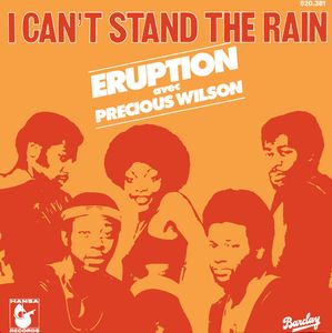 I Can't Stand The Rain cover
