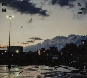 Wild Pink – Still Coming Down