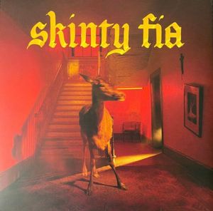 Skinty Fia cover