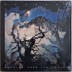 Burning From The Inside cover