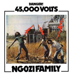 45,000 Volts cover