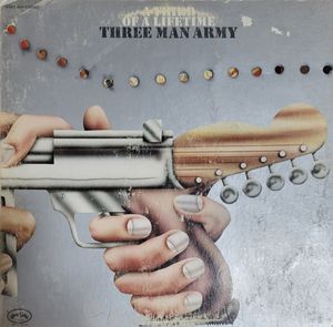 A Third Of A Lifetime cover