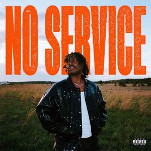 No Service cover
