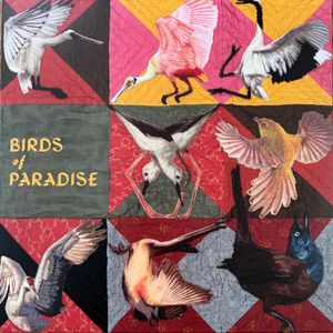 Thomas Dollbaum – Birds Of Paradise