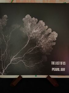 The Last Of Us cover