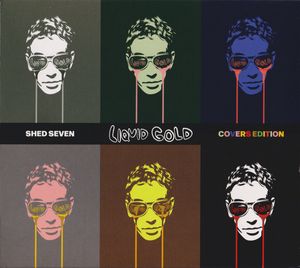 Liquid Gold (Covers Edition) cover