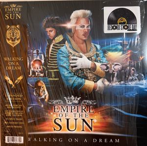 Walking On A Dream cover