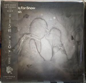 50 Words For Snow cover