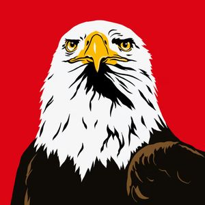 Spirit cover
