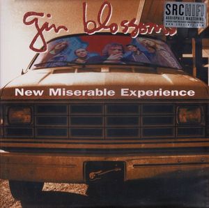 New Miserable Experience by Gin Blossoms