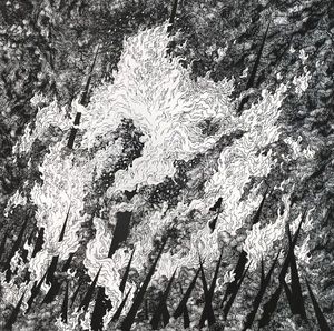 Vilkacis / Turia cover