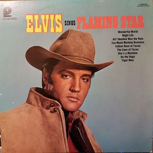 Elvis Sings "Flaming Star" cover