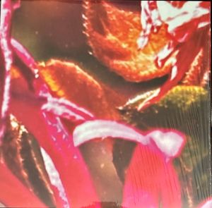 Infrared Orchids  by King Caiman,  Dirty Art Club