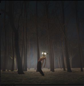 Geese – Projector