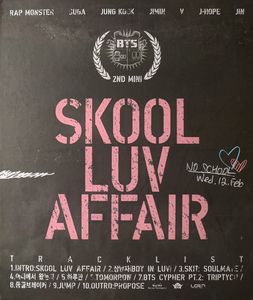 Skool Luv Affair cover