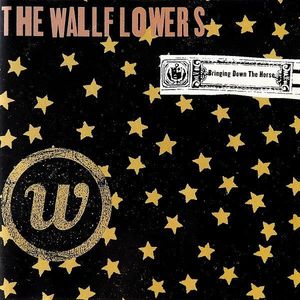 Bringing Down The Horse cover