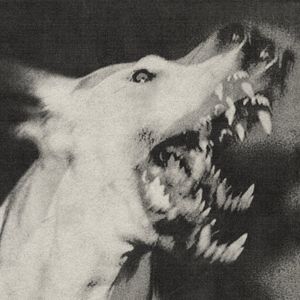 [angry noises] cover