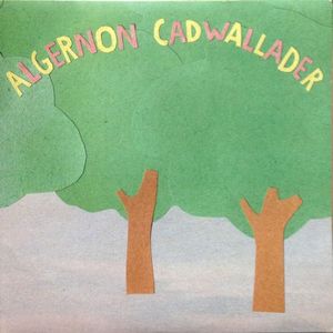 Some Kind Of Cadwallader cover