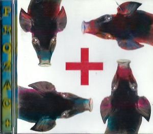 Testa Plastica cover