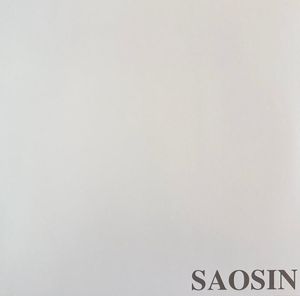 Translating The Name by Saosin