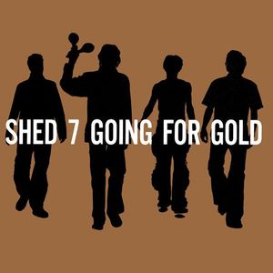 Going For Gold (The Greatest Hits) cover