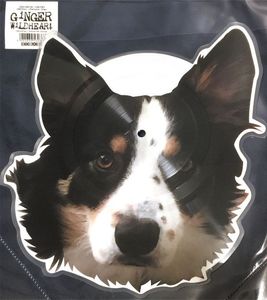 I Wanna Be Yours cover