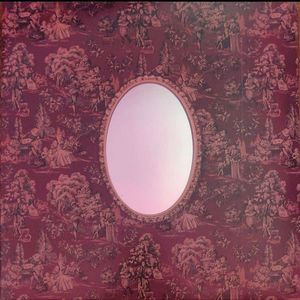 Fevers And Mirrors cover