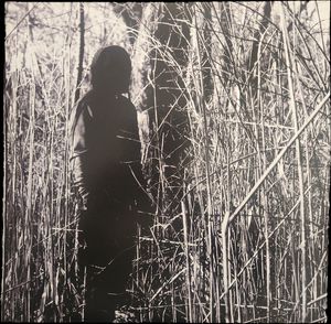 Today, I Wrote Nothing cover