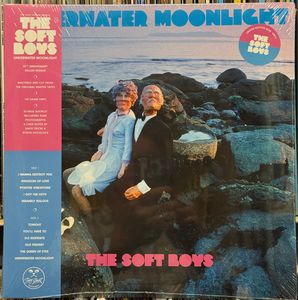 Underwater Moonlight cover