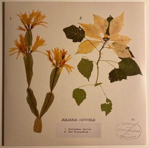 Juliana Hatfield – Christmas Cactus
