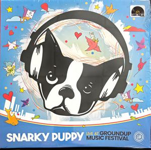 Live at Groundup Music Festival by Snarky Puppy