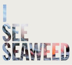 The Drones – I See Seaweed