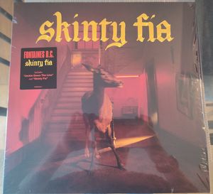 Skinty Fia by Fontaines D.C.
